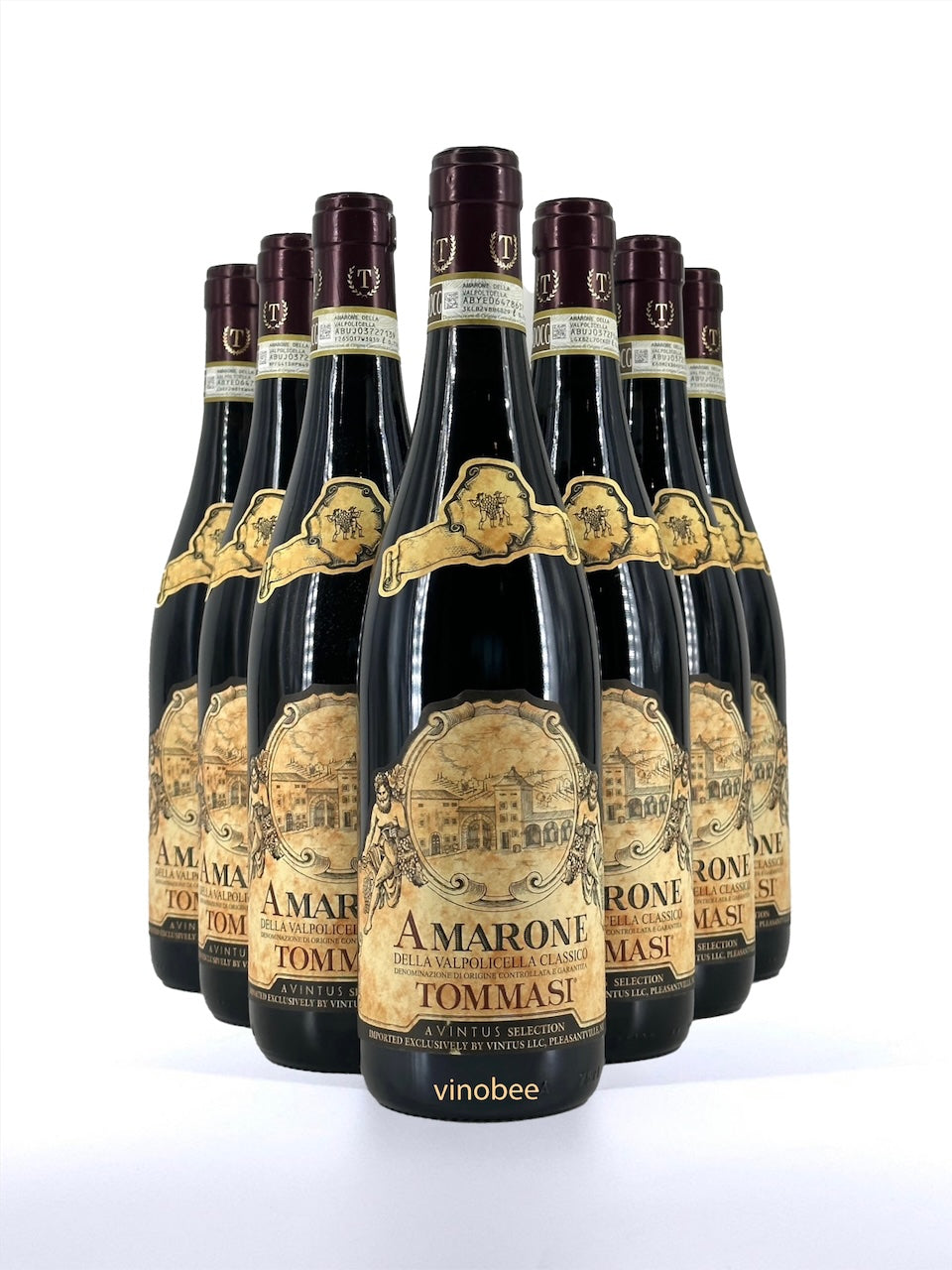 12 Bottles Tommasi Amarone della Valpolicella Classico Corvina Blend