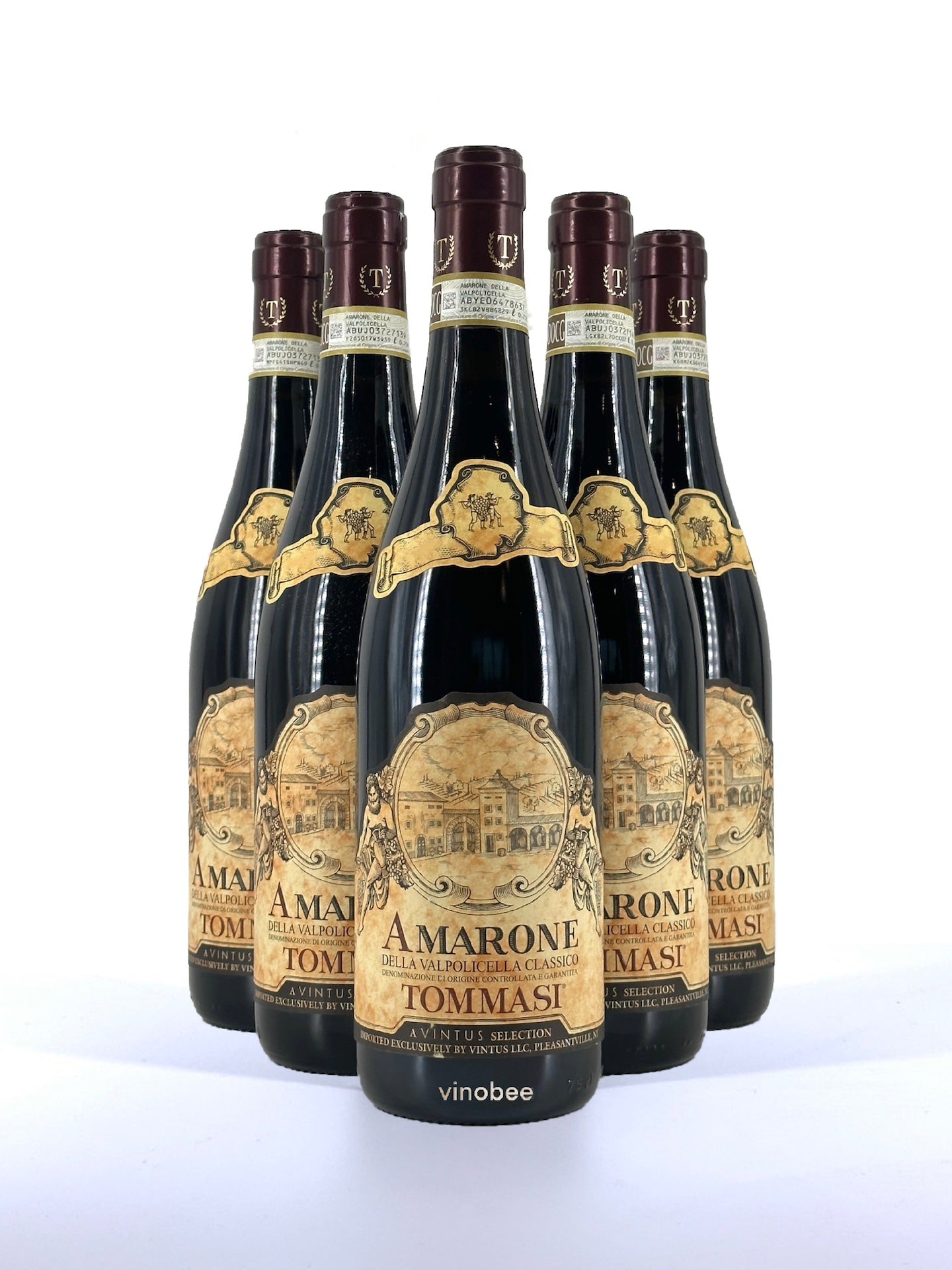 6 Bottles Tommasi Amarone Della Valpolicella Classico Corvina Blend 2017 750ml