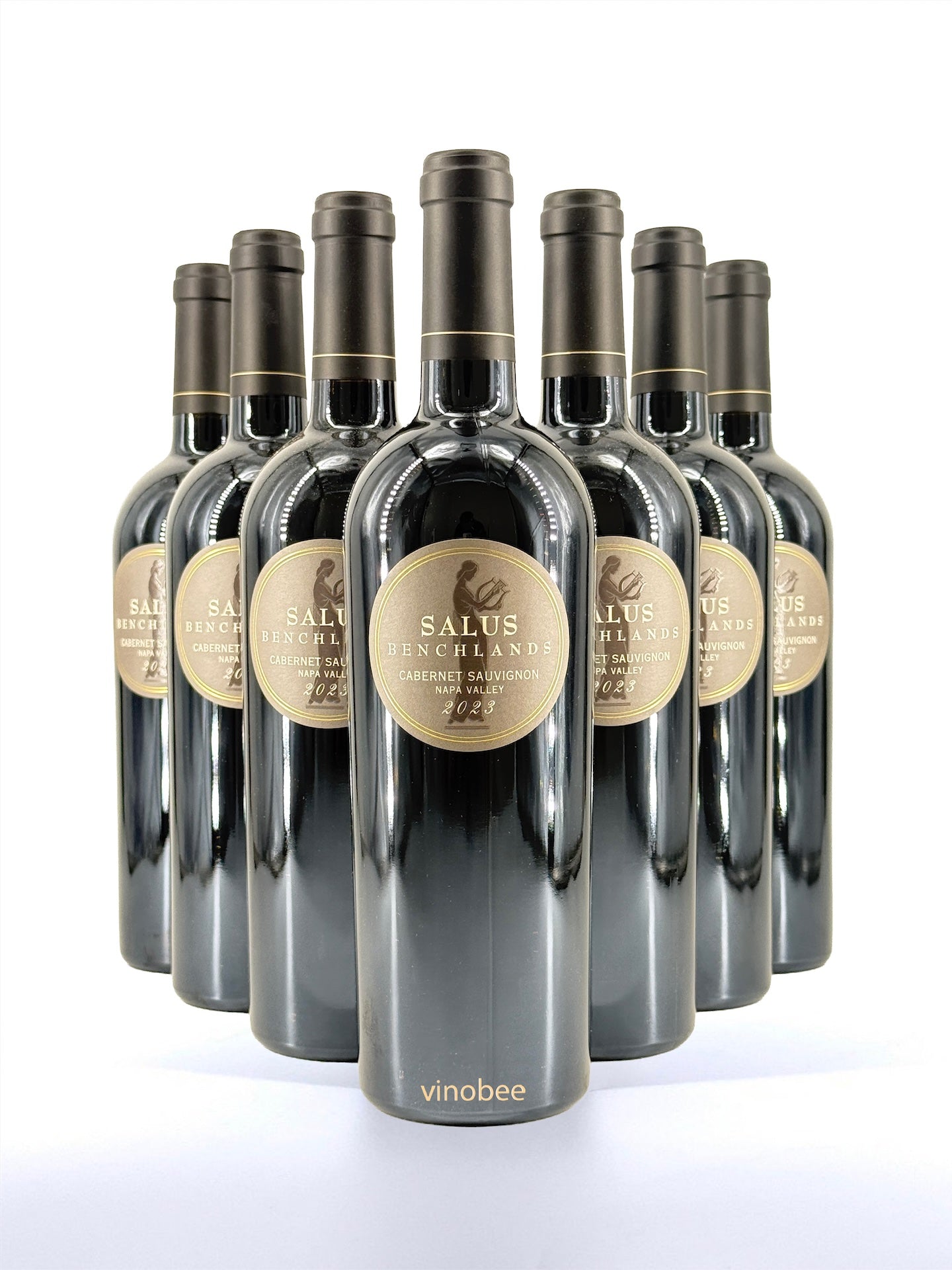 12 Bottles Staglin Salus Benchlands Cabernet Sauvignon