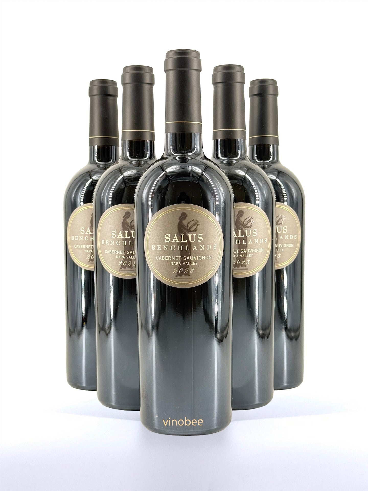 6 Bottles Staglin Salus Benchlands Cabernet Sauvignon