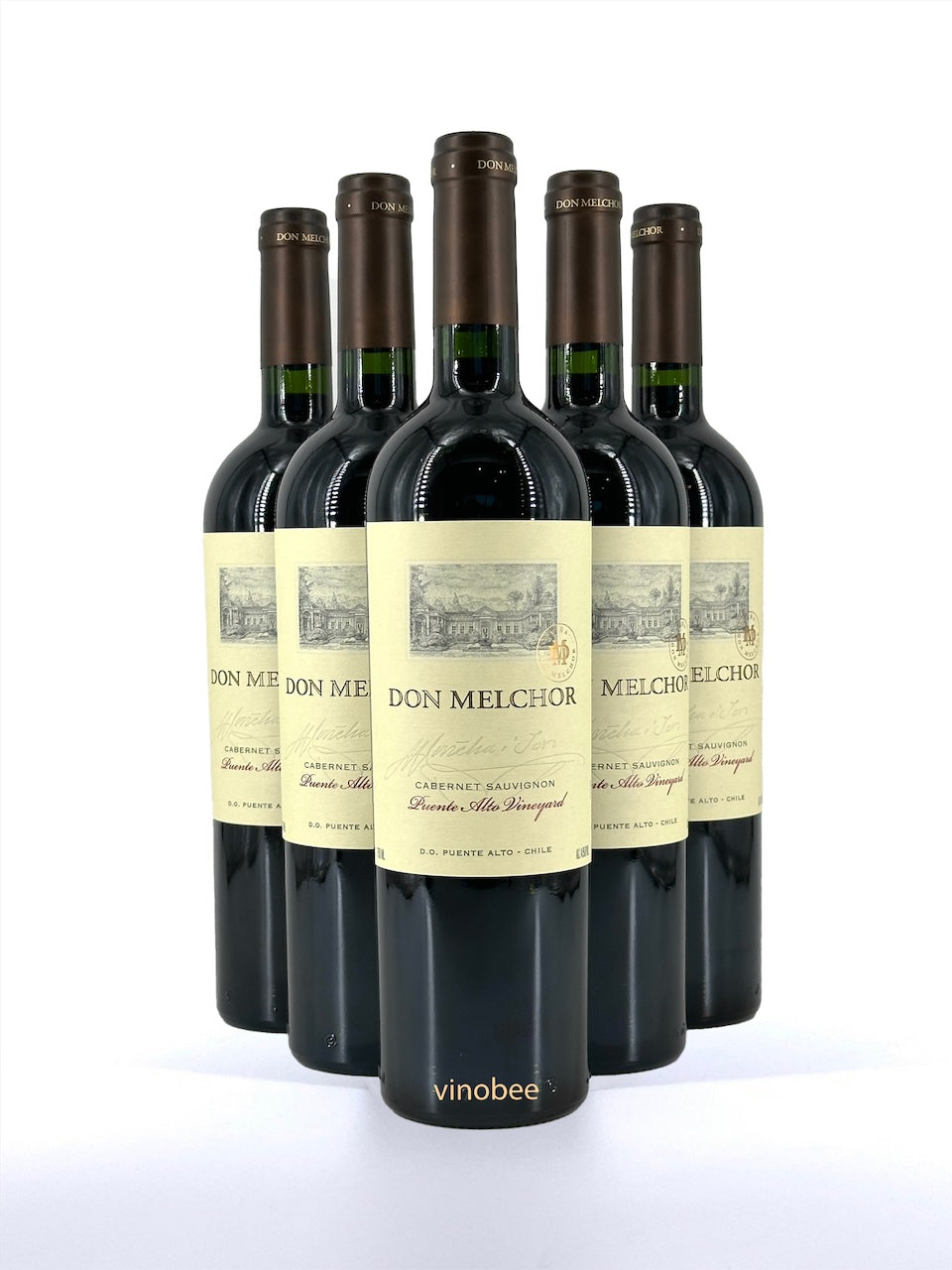 6 Bottles Don Melchor Maipo Valley Cabernet Sauvignon 2019 750ml