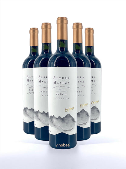 6 Bottles Colomé Altura Máxima Malbec