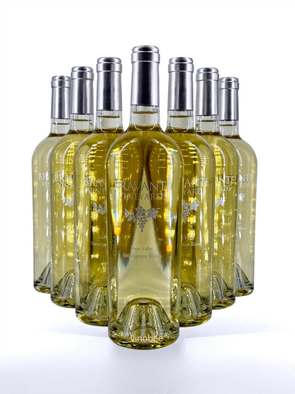 12 Bottles Bravante Vineyards Sauvignon Blanc